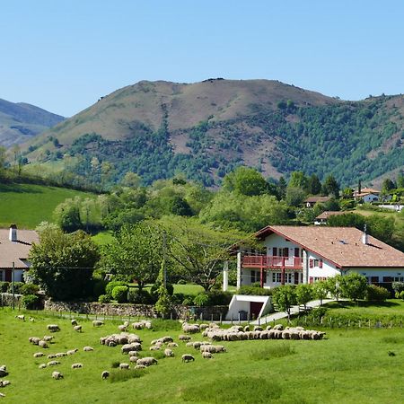 Baskoparadis I Eco-Gites I Calme I Vue I Anes I Jardin I Montagne I Nature Louhossoa Exterior photo