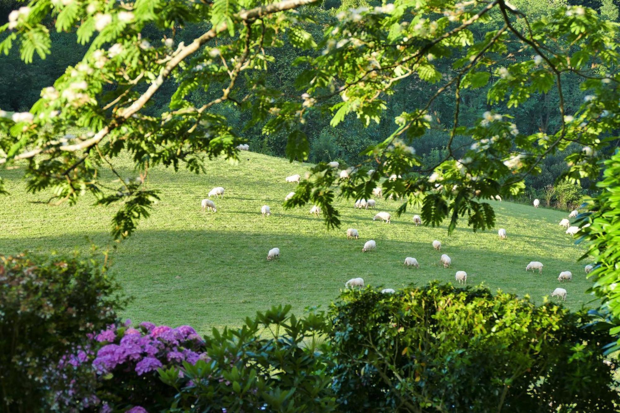 Baskoparadis I Eco-Gites I Calme I Vue I Anes I Jardin I Montagne I Nature Louhossoa Exterior photo