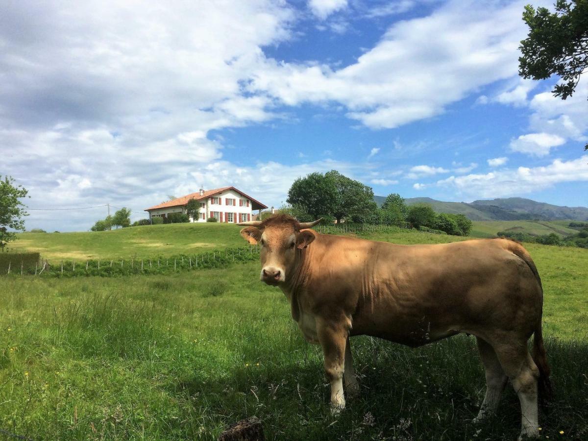 Baskoparadis I Eco-Gites I Calme I Vue I Anes I Jardin I Montagne I Nature Louhossoa Exterior photo