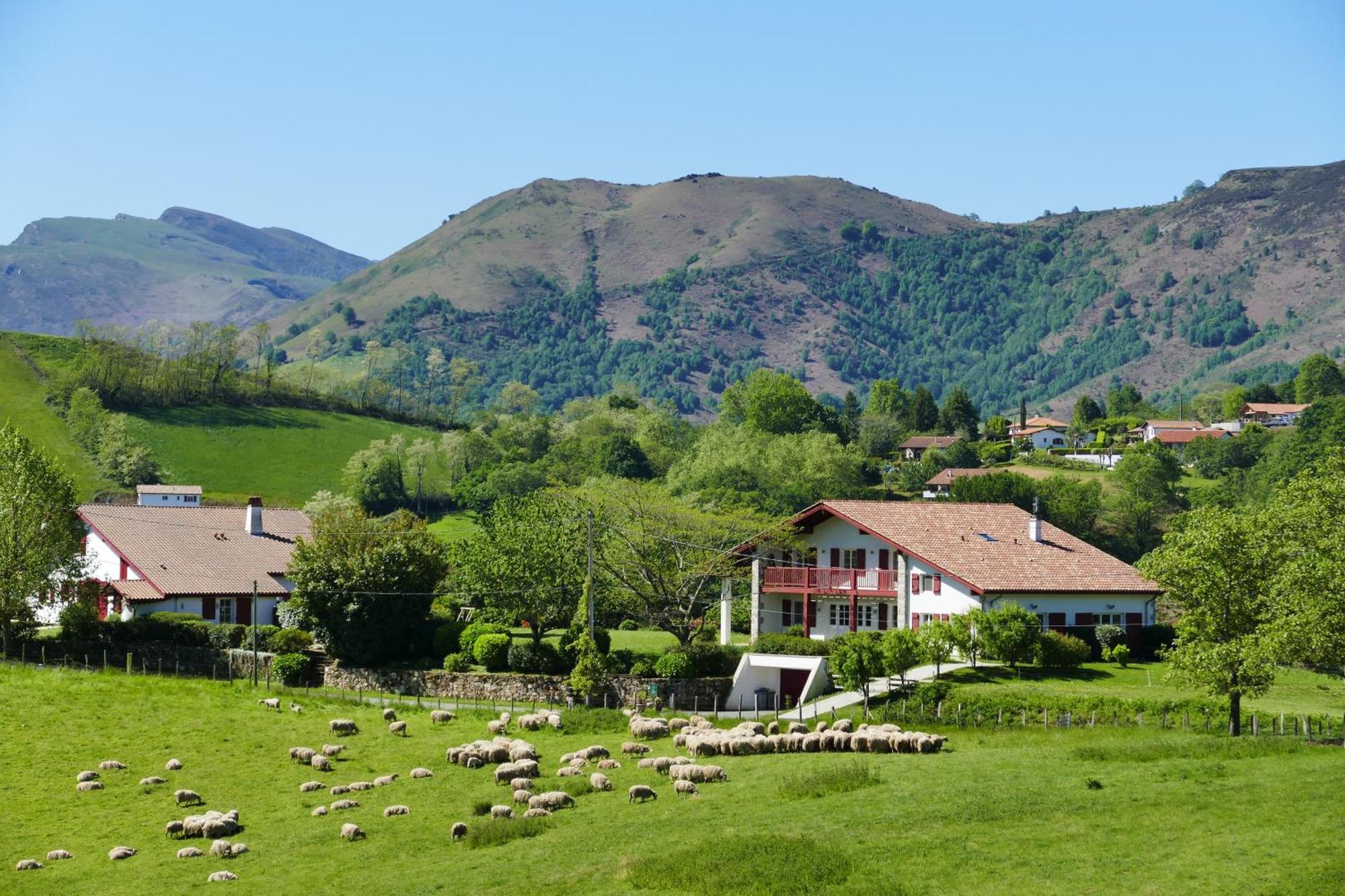 Baskoparadis I Eco-Gites I Calme I Vue I Anes I Jardin I Montagne I Nature Louhossoa Exterior photo